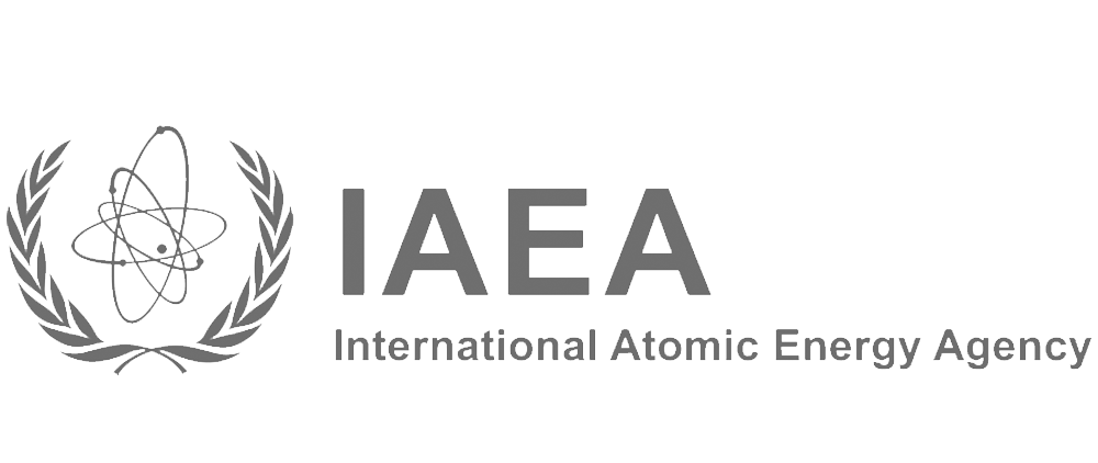 International Atomic Energy